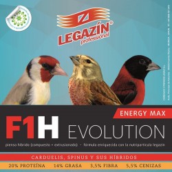 F1H ENERGY MAX EVOLUTION 4kg