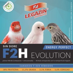 F2H ENERGY PERFECT EVOLUTION 4kg