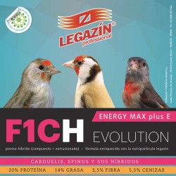 F1CH ENERGY MAX PLUS...